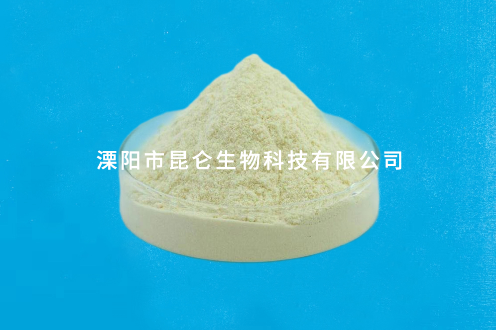 2,4-二氯-5-硝基嘧啶1